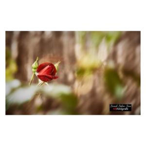 3bfotografo