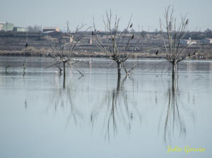 Estany d'Ivars