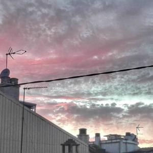 anaoterogutierro_95985268_264419821269025_1364303472842533325_n