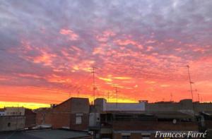frangrino_90877474_727492011119252_4021244619029589909_n