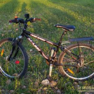 monibike70_95298799_234155611241298_3750925913817607376_n