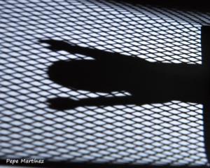pepdfhoto_94124811_176013070158536_4238213494875231377_n