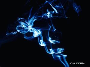 rosaesva_92978921_128727418739334_1440443231336855693_n